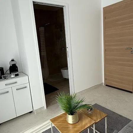 Apartamento Exceptionnel Versailles Le Chesnay (Yvelines)