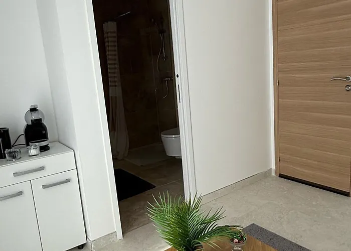 Apartament Exceptionnel Versailles Le Chesnay (Yvelines)